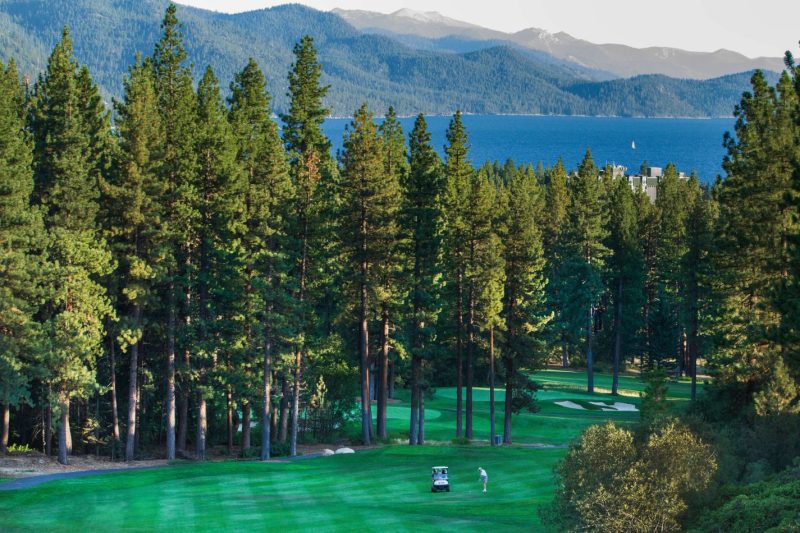 Check In & Tee Off featured image